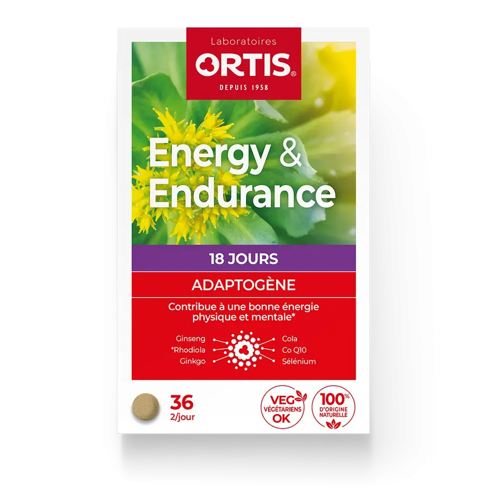 Energy Endurance