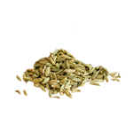 Fenouil